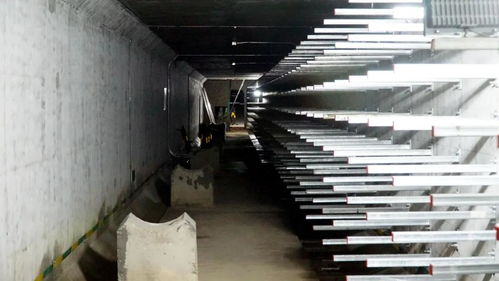 打造城市“生命線”，東海岸新城綜合管廊全面啟動機電設備安裝